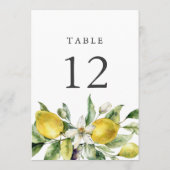 ルースティック レモンズ シトラス 5x7 テーブル ナンバー カード (裏面)