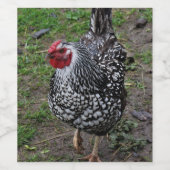 ルース ワインラベル (シングルラベル)