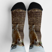 ルーズの牛：ハイランド牛の小麦ホイスト ソックス (上部)