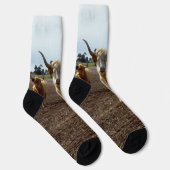 ルーズの牛：ハイランド牛の小麦ホイスト ソックス (右)