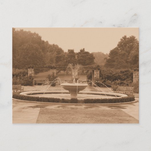 ルーズパークハガキ ポストカード (正面)