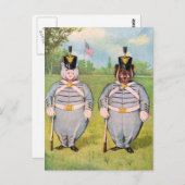 ルーズベルトの軍用クマ ポストカード (正面/裏面)