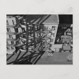 ルーズベルトへ。 ポストカード