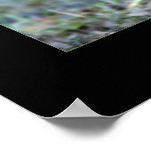 ルーズベルトエルクスパーリング ポスター (角)