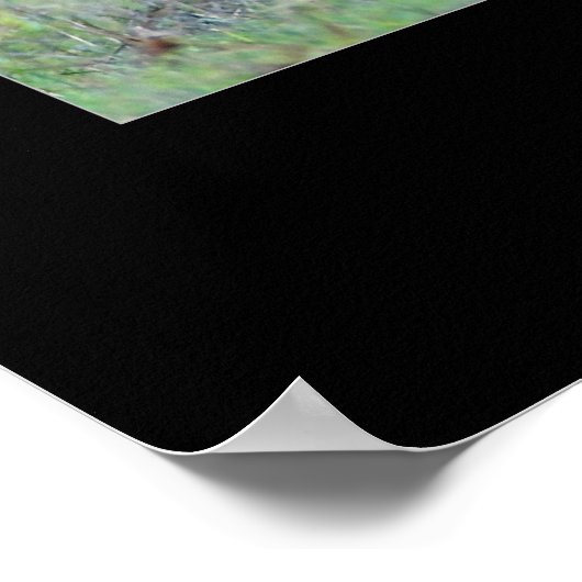 ルーズベルトエルク ポスター (角)