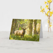 ルーズベルトエルク |ワシントン州オリンピック国立公園 カード (黄色い花)