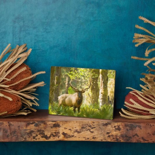 ルーズベルトエルク |ワシントン州オリンピック国立公園 フォトプラーク (側面)