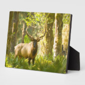 ルーズベルトエルク |ワシントン州オリンピック国立公園 フォトプラーク (側面)