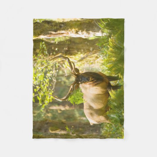 ルーズベルトエルク |ワシントン州オリンピック国立公園 フリースブランケット (正面)