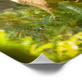 ルーズベルトエルク |ワシントン州オリンピック国立公園 ポスター (角)