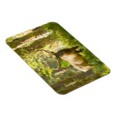 ルーズベルトエルク |ワシントン州オリンピック国立公園 マグネット (右側)