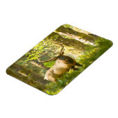 ルーズベルトエルク |ワシントン州オリンピック国立公園 マグネット (左側)