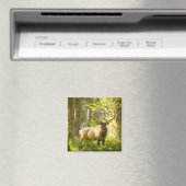 ルーズベルトエルク |ワシントン州オリンピック国立公園 マグネット (インサイチュ (食洗機))