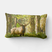 ルーズベルトエルク |ワシントン州オリンピック国立公園 ランバークッション (裏面)