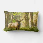 ルーズベルトエルク |ワシントン州オリンピック国立公園 ランバークッション (正面)