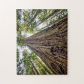 ルーズベルトグローブ ジグソーパズル (縦)