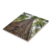 ルーズベルトグローブ タイル (側面)