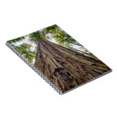 ルーズベルトグローブ ノートブック (右側)