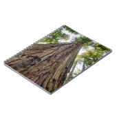 ルーズベルトグローブ ノートブック (左側)