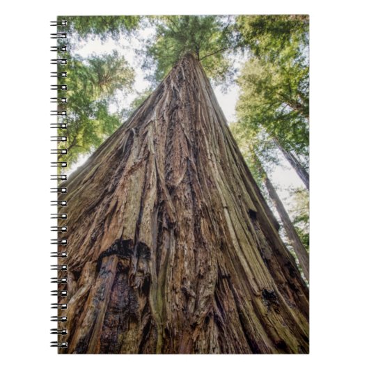 ルーズベルトグローブ ノートブック (正面)