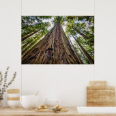 ルーズベルトグローブ ポスター (キッチン)