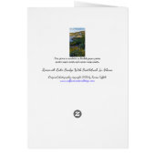 ルーズベルトレイクブリッジアリゾナ黄色のワイルドフラワー (裏面)