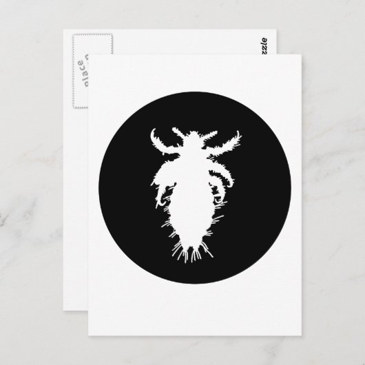 ルーズ ポストカード (正面/裏面)