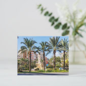 ルーセロのまわりにス・ラウンドアバウトのヤシ林 シーズンポストカード (スタンド正面)