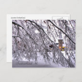 ルーツェルンのハガキ城の雪の木 ポストカード (正面/裏面)