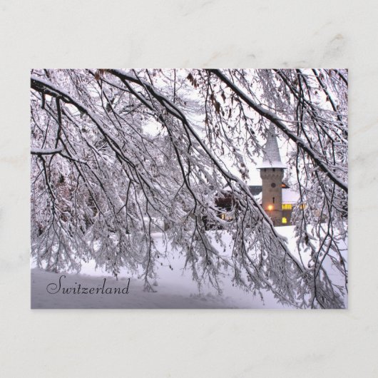 ルーツェルンのハガキ城の雪の木 ポストカード (正面)