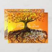 ルーツ日付の保存 案内ポストカード (正面/裏面)