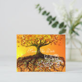 ルーツ日付の保存 案内ポストカード (スタンド正面)