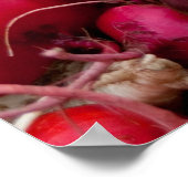 ルーツ！ ポスター (角)