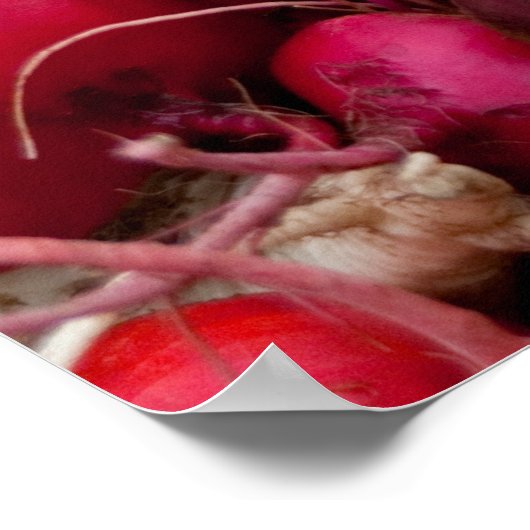 ルーツ！ ポスター (角)