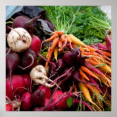 ルーツ！ ポスター (正面)