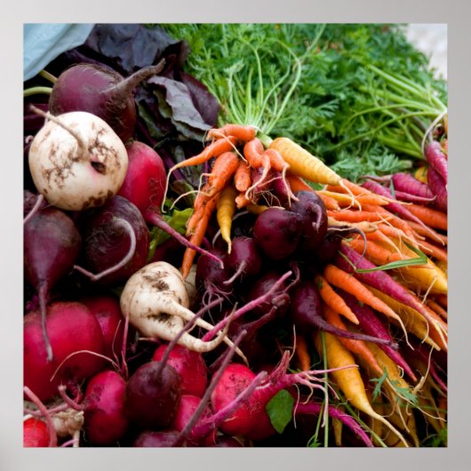 ルーツ！ ポスター (正面)