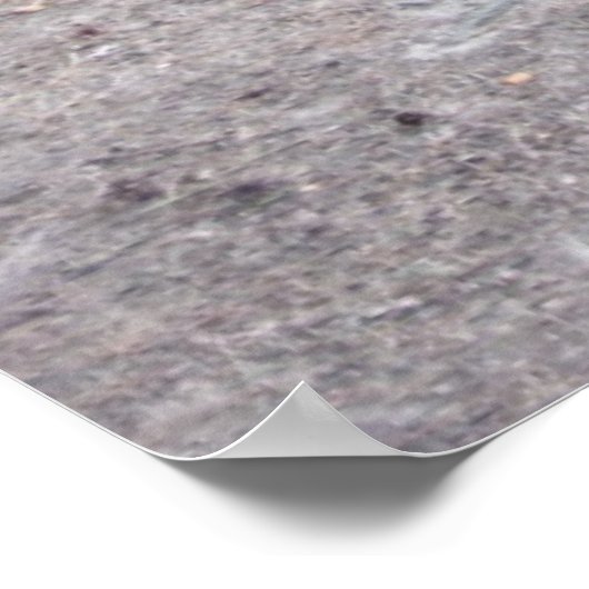 ルーツ ポスター (角)