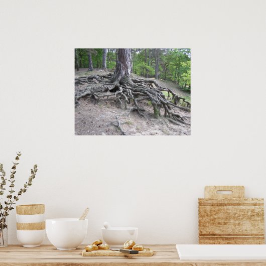 ルーツ ポスター (キッチン)