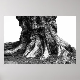 ルーツ ポスター