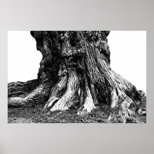 ルーツ ポスター (正面)