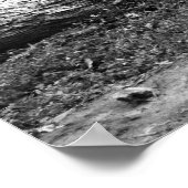 ルーツ ポスター (角)