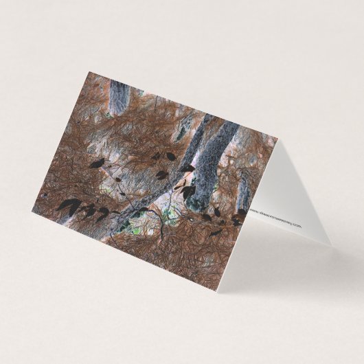 "ルーツ"切り取った木、松の針、森林床 (正面)