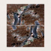 "ルーツ"切り取った木、松の針、森林床 (外部フラット)