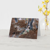 "ルーツ"切り取った木、松の針、森林床 カード (黄色い花)