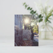 ルーテオドール ポストカード (スタンド正面)