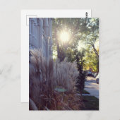 ルーテオドール ポストカード (正面/裏面)