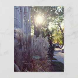 ルーテオドール ポストカード