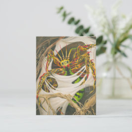 ルートスパイダー ポストカード