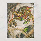 ルートスパイダー ポストカード (正面)