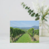 ルートデヴィンダルザース ポストカード (スタンド正面)